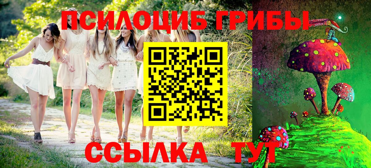 Псилоцибиновые грибы Psilocybe Нягань